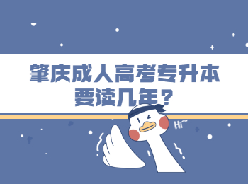 肇慶成人高考專升本要讀幾年?
