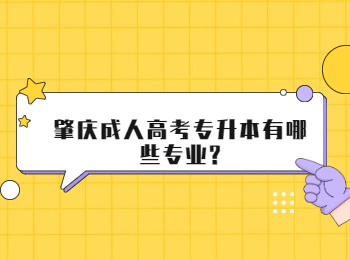 肇慶成人高考專升本有哪些專業?