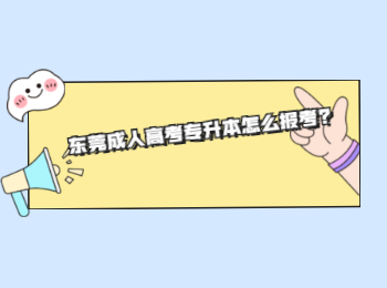 東莞成人高考專升本怎么報考